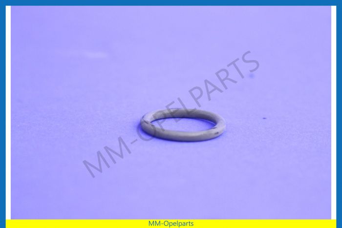 O-Ring