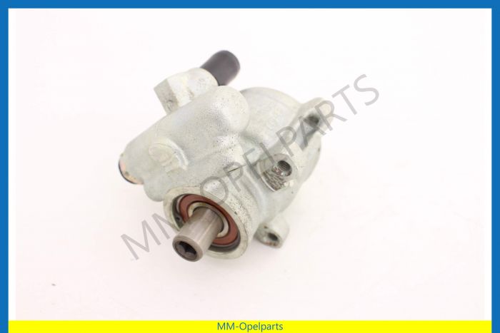 Power steering pump, Ident WM