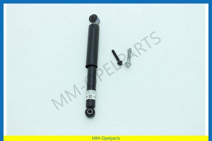 Shock absorber Rear