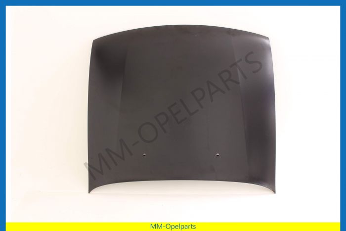 Bonnet without emblem hole