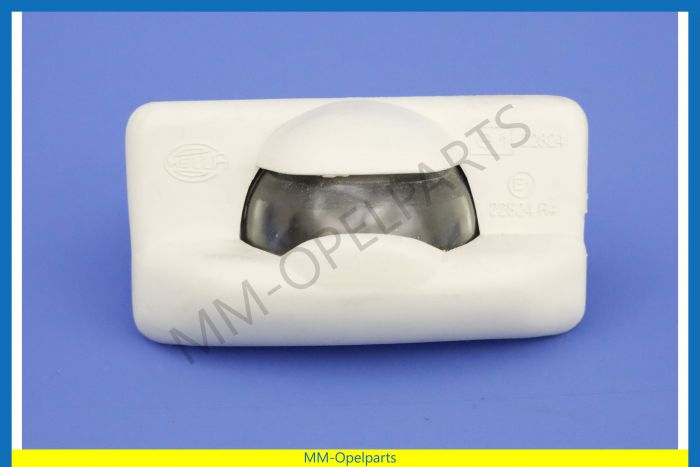 Licenceplate lighting  polar wit 