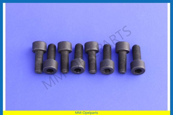 Flywheel bolt, M10 X 26, 1.6, SET 8 PIECES