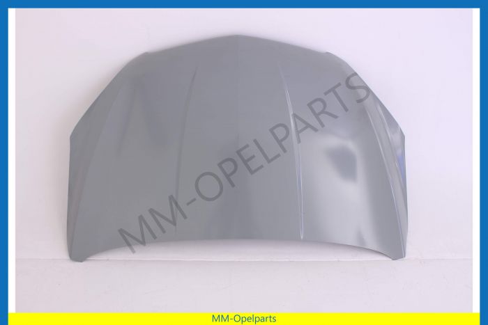 Bonnet  until Vin-number G4999999, GB999999