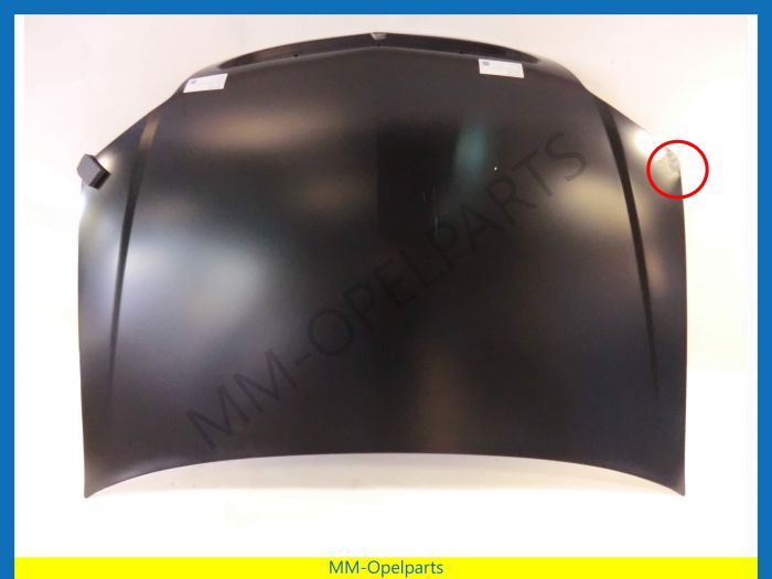 Bonnet Vectra 02-, also for Signum 03-