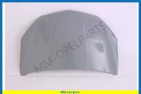 Bonnet  until Vin-number G4999999, GB999999