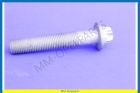 Screw-Torx